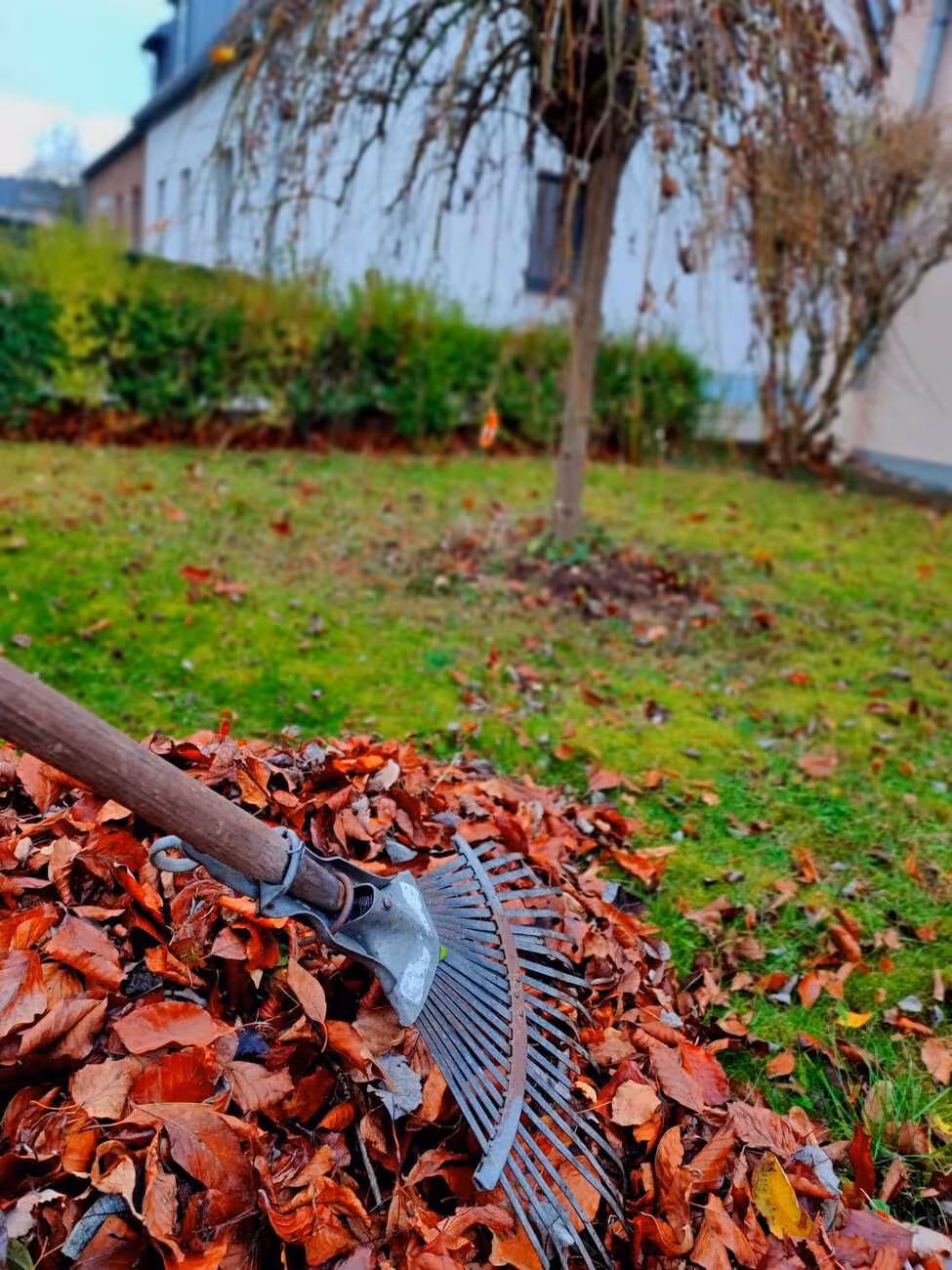 Labatzky - Pflege- & Betreuungsdienst - Grünflächenpflege